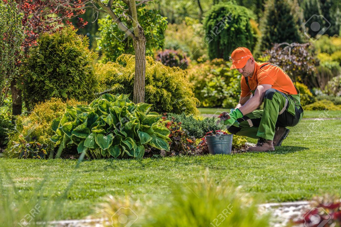 Gardening & Outdoor Jobs